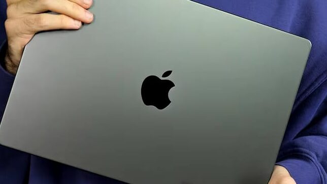 apple on iPaid logo